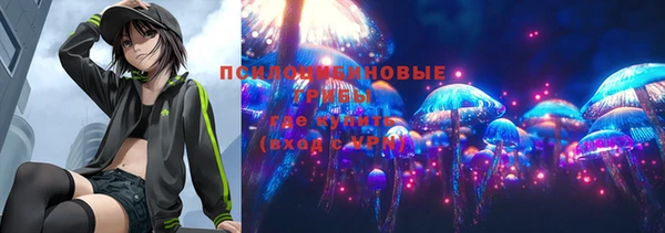 2c-b Алексин