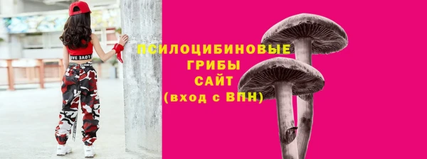 соль ск Алексеевка