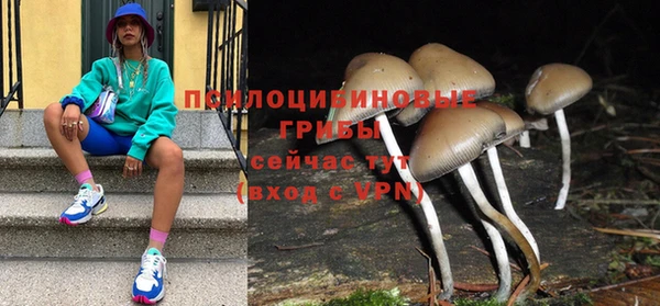 гашик Кодинск
